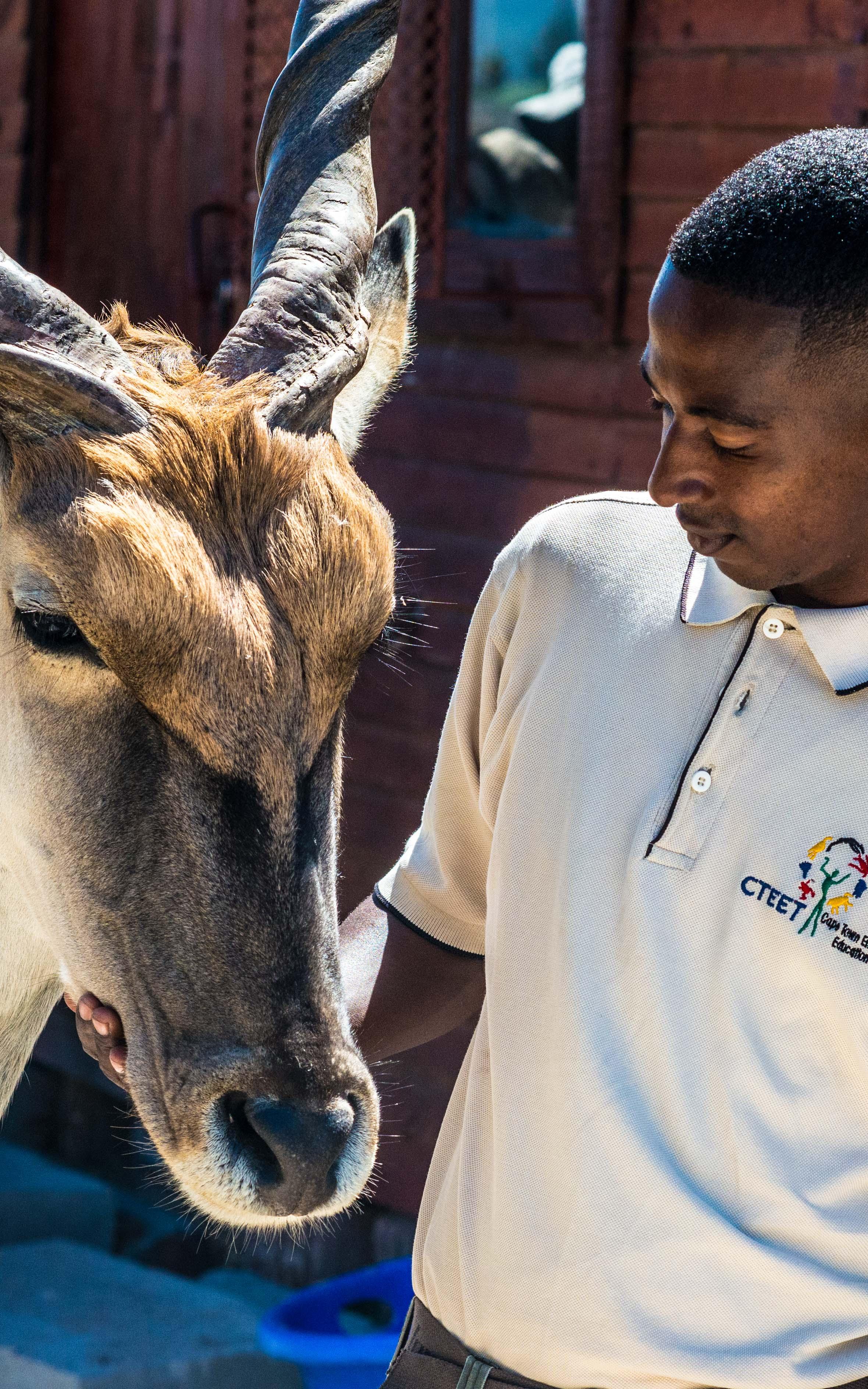Man with a eland