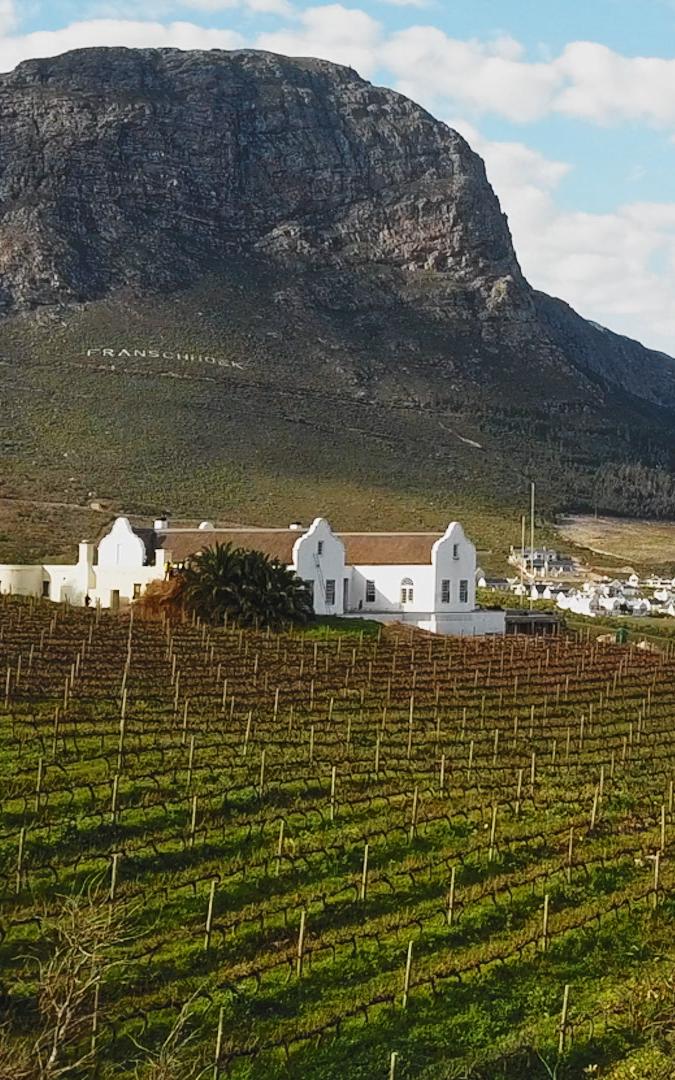 beautiful news franschhoek
