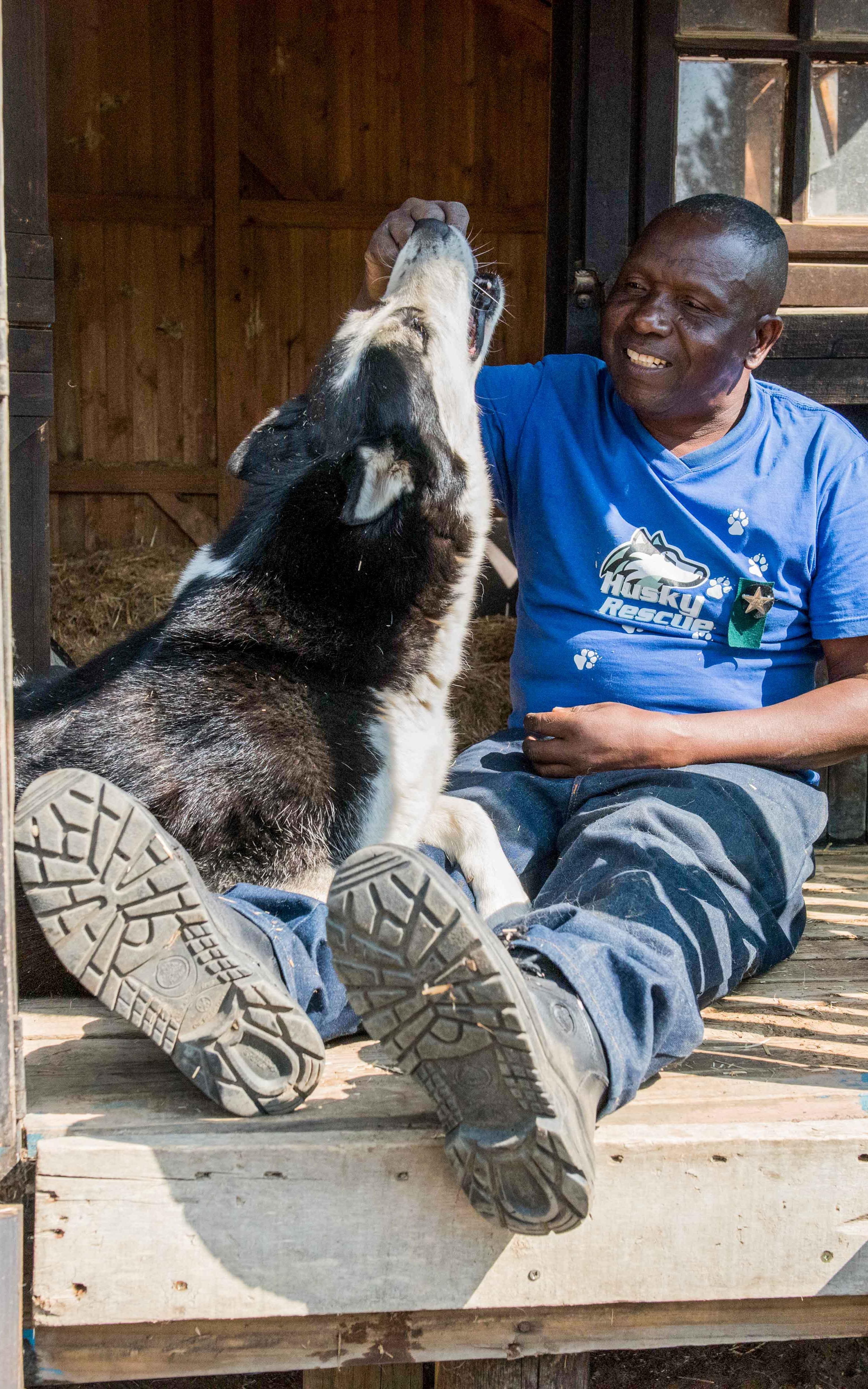 This man is finding a home for the huskies society left behind