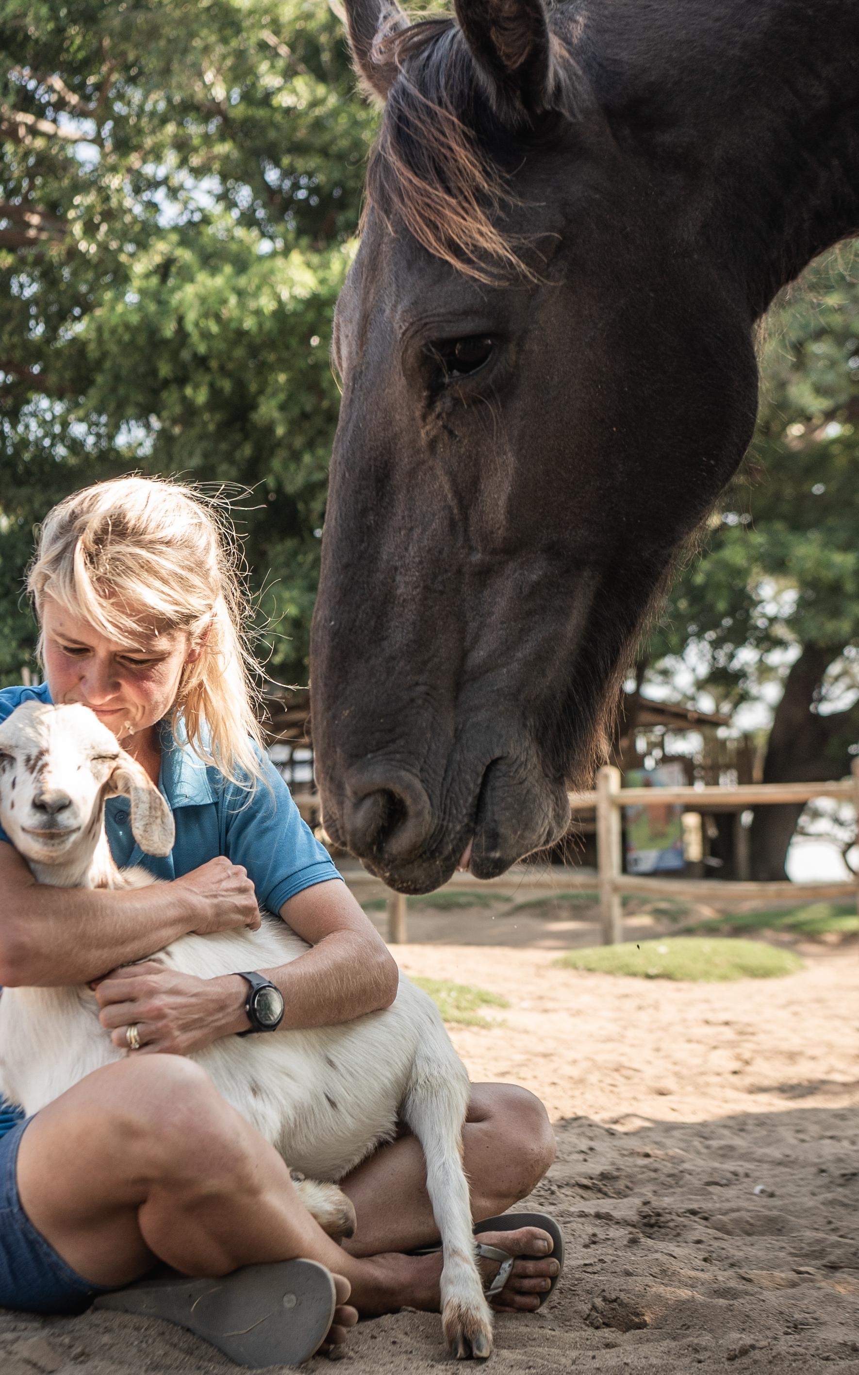 A woman is fighting to save many animals