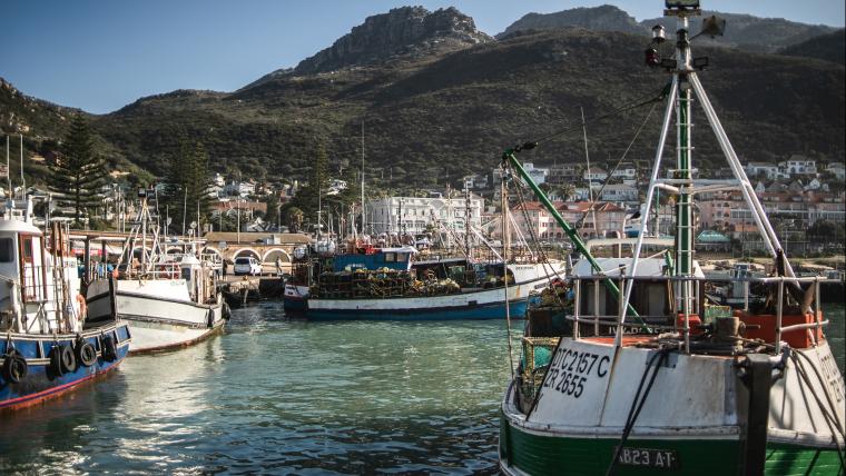 Boats in the water
