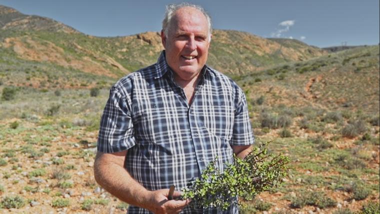 Man with Spekboom